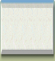 jesus_melody_bookstore_2008_announcements001010.gif
