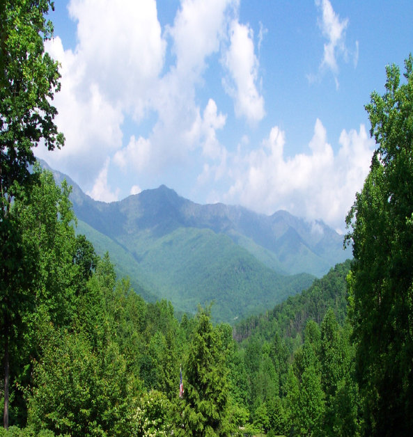 s%26s_ministries002008.jpg